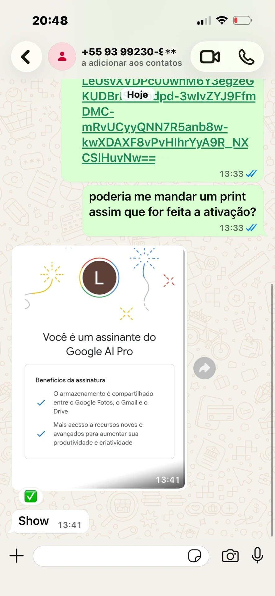 Print de conversa no WhatsApp confirmando a ativação do Google AI Pro 8