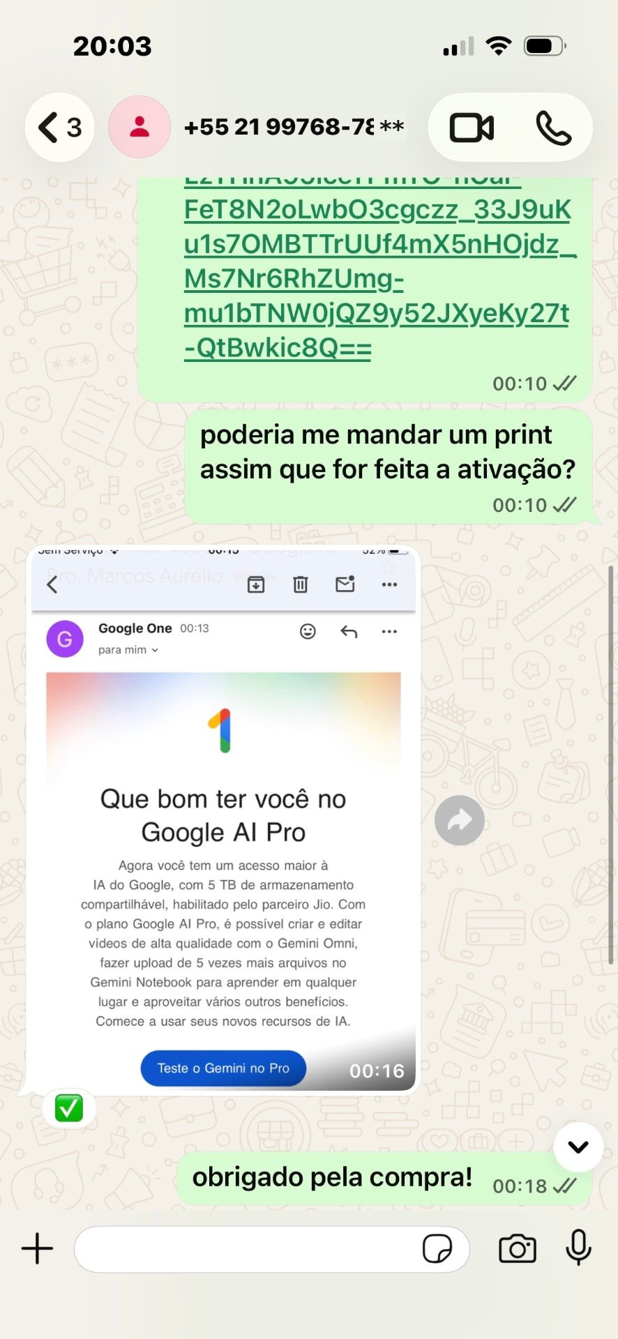 Print de conversa no WhatsApp confirmando a ativação do Google AI Pro 1
